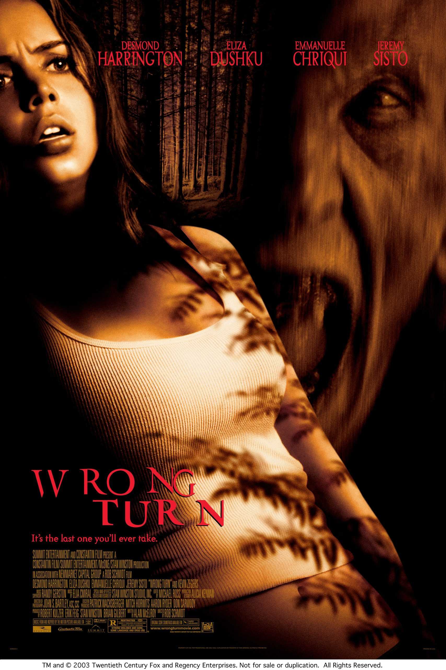 Wrong Turn movie poster located on MR. X website.
