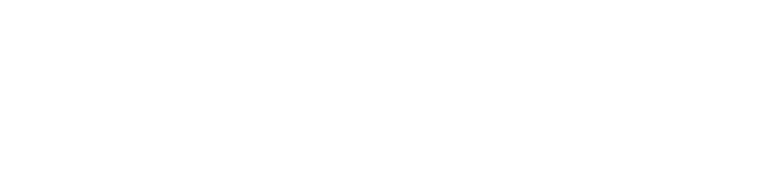 MR. X