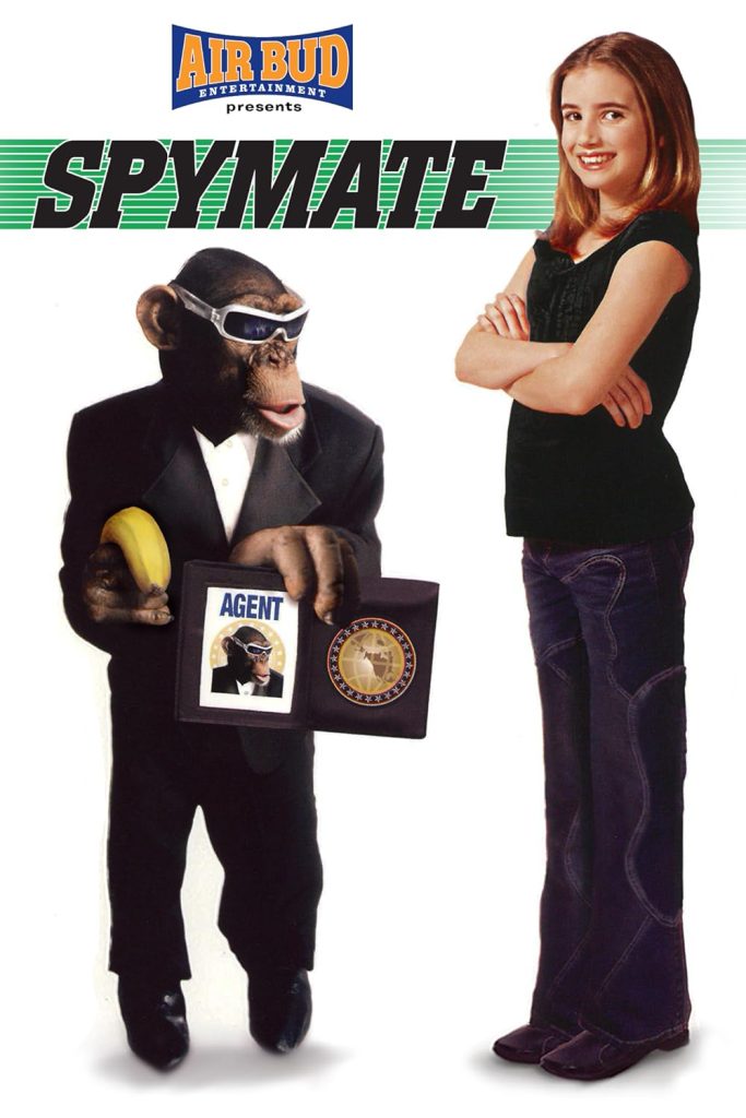 Spymate movie poster located on MR. X website.
